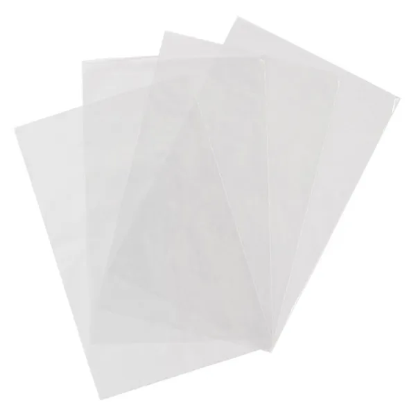Bags Poly Clear PB2 9INx12IN 2MIL 1000/CS